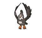 Male