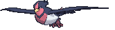 Swellow XY