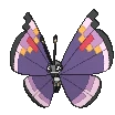 Vivillon-Elegant XY