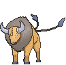 Tauros XY