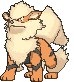 Arcanine XY