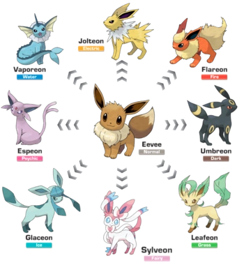A chart showing the current Eeveelutions from The Pokémon Company.