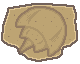 Dome Fossil Mining