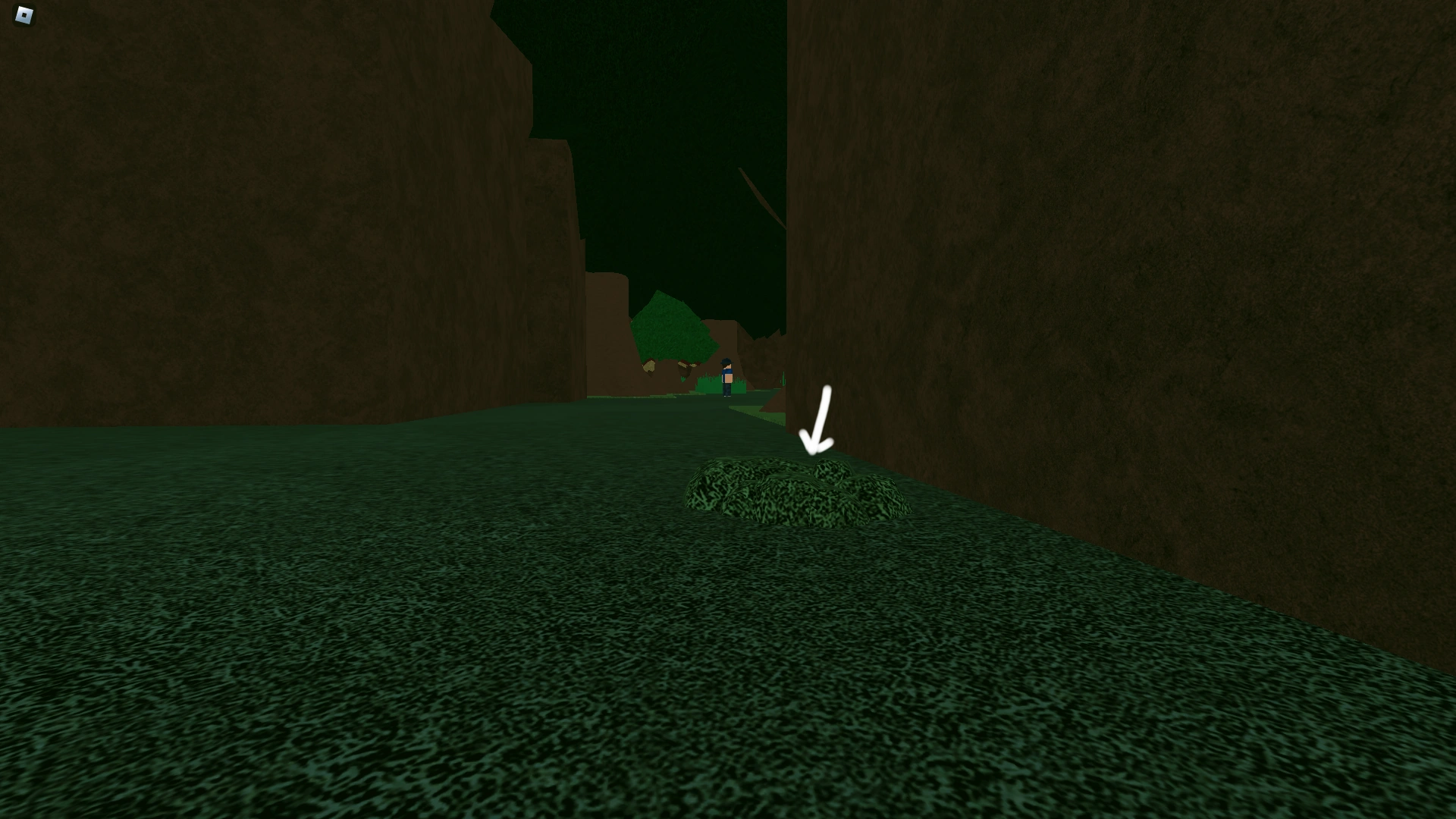 Gale Forest