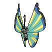 Vivillon-Savannah XY
