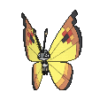Vivillon-Continental XY