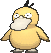 Psyduck XY