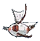 Magikarp-Goldeen XY