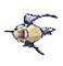 Magikarp-Feebas XY