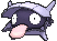 Shellder XY