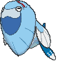 Arctovish XY.gif
