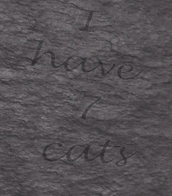 "I have 7 cats" carved on a rock.