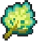 Mirror Herb