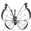 Vivillon-Icy XY