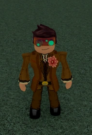 The Looker