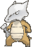 Marowak-Kanto XY