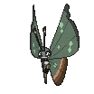 Vivillon-Jungle XY