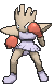 Hitmonchan XY