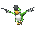 Squawkabilly-Green XY