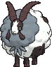 Dubwool-