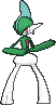 Gallade XY