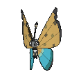 Vivillon-River XY