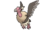 Mandibuzz XY