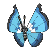 Vivillon-Marine XY