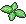 Speed Mint Sprite