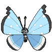 Vivillon-Tundra XY