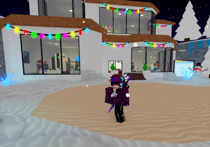 Owner/Dev Faithful, standing in front of the Winter Trade Resort