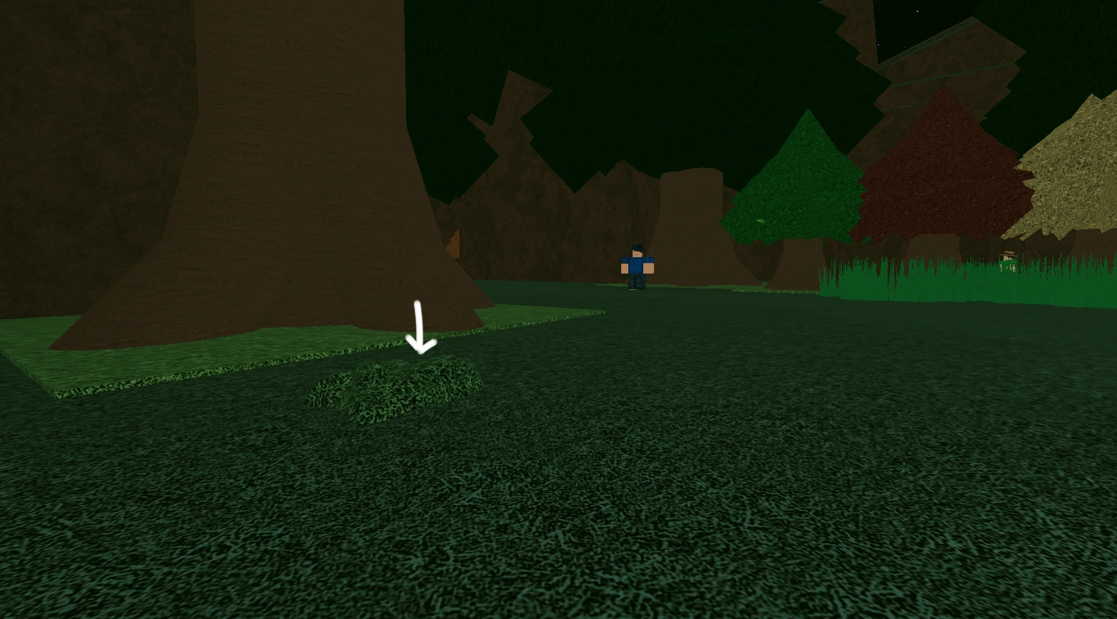 Gale Forest