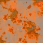 Texture15