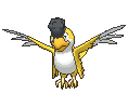 Squawkabilly-Yellow XY
