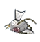 Magikarp-GrayDia XY
