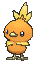 Torchic XY