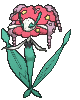 Red Flower