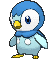 Piplup XY