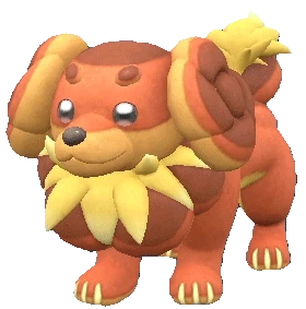 Dachsbun-