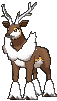 Winter Form