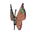 Vivillon-Archipelago XY