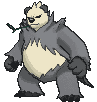Pangoro XY
