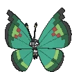 Vivillon-Garden XY