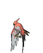Talonflame XY