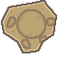 Skull Fossil Mining