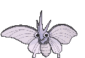 Venomoth XY