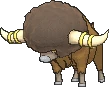 Bouffalant XY